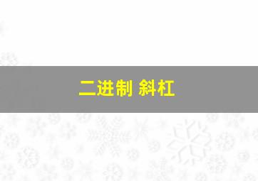 二进制 斜杠